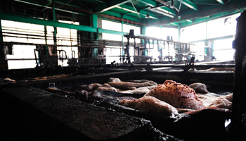 有限会社 新喜皮革