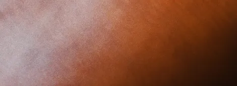 使用皮革画像