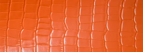 使用皮革画像