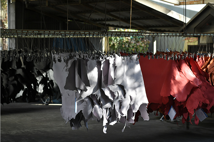 乾燥場。黒だけではなく、さまざまな色の革に仕上げる技術を持つ。